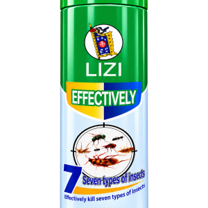 LIZI